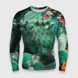 Рашгард мужской Кактусы с цветами реализм, цвет: 3D-принт
