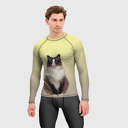 Рашгард мужской Персидская пушистая кошка, цвет: 3D-принт — фото 2