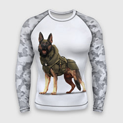 Рашгард мужской Служебная собака К9 K9, цвет: 3D-принт