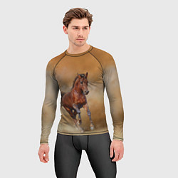 Рашгард мужской BAY HORSE гнедой конь, цвет: 3D-принт — фото 2