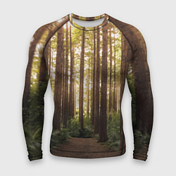 Рашгард мужской Дневной лес, деревья и свет, цвет: 3D-принт