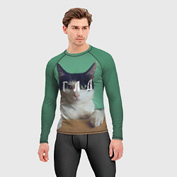 Рашгард мужской Мем с котом - голод, цвет: 3D-принт — фото 2