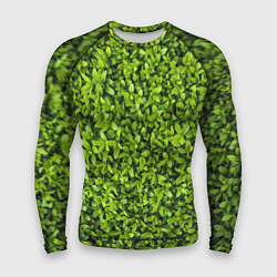 Рашгард мужской Зелёная трава листья, цвет: 3D-принт