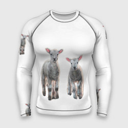 Мужской рашгард Ягнята овцы