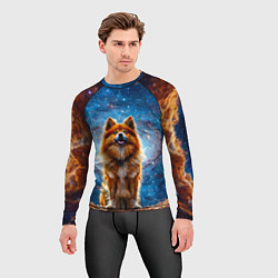 Рашгард мужской Финский лаппхунд в космосе, цвет: 3D-принт — фото 2