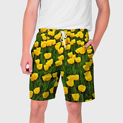 Мужские шорты Жёлтые тюльпаны