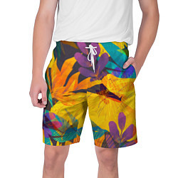 Мужские шорты Солнечные тропики