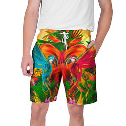 Мужские шорты Яркие тропики