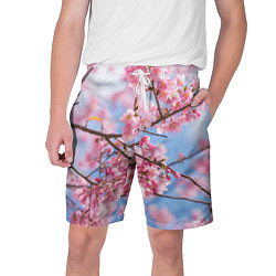 Шорты на шнурке мужские Ветки Сакуры, цвет: 3D-принт