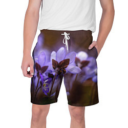 Мужские шорты Хрупкий цветок фиалка