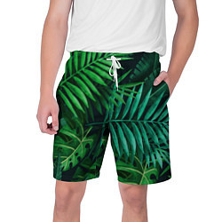 Шорты на шнурке мужские Сочные тропики, цвет: 3D-принт