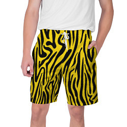 Шорты на шнурке мужские Тигровые полоски, цвет: 3D-принт