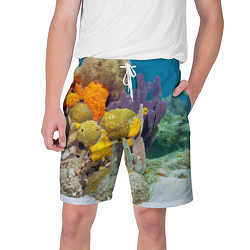 Шорты на шнурке мужские Морской мир, цвет: 3D-принт