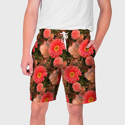 Мужские шорты Полевые цветочки дачные цветы