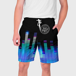 Шорты на шнурке мужские Ramones эквалайзер, цвет: 3D-принт