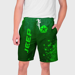 Мужские шорты Jeep - green gradient вертикально