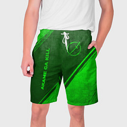 Шорты на шнурке мужские Akame ga Kill - green gradient вертикально, цвет: 3D-принт