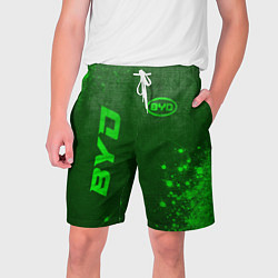 Шорты на шнурке мужские BYD - green gradient вертикально, цвет: 3D-принт