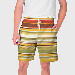Мужские шорты Горизонтальные полосы