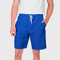 Мужские шорты Color blue stripes