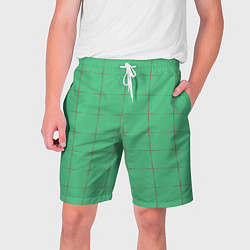 Мужские шорты Color green stripes