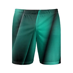 Мужские спортивные шорты Emerald lines