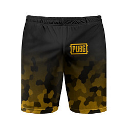 Мужские спортивные шорты PUBG: Military Honeycomb