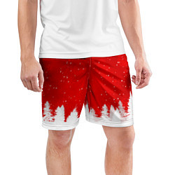 Шорты спортивные мужские Christmas pattern, цвет: 3D-принт — фото 2