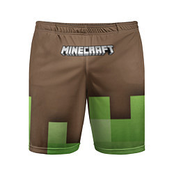 Шорты спортивные мужские Minecraft - Логотип, цвет: 3D-принт