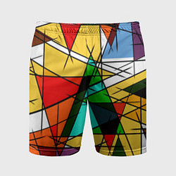 Мужские спортивные шорты ПИКАССО