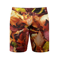 Шорты спортивные мужские Куча осенних листьев, цвет: 3D-принт