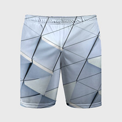 Мужские спортивные шорты Metalic triangle stiil