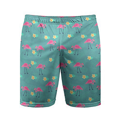 Мужские спортивные шорты Летний паттерн с фламинго