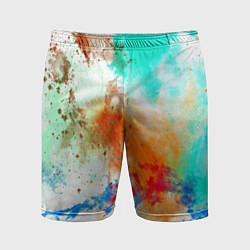 Мужские спортивные шорты Штрихи красок цветные