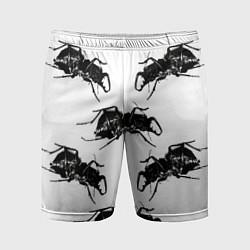 Мужские спортивные шорты Mezzanine