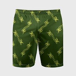 Мужские спортивные шорты Винтажная роспись