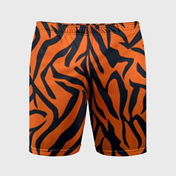 Мужские спортивные шорты Расцветка тигра