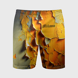 Шорты спортивные мужские Peeling plaster - Milano, цвет: 3D-принт