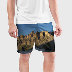 Шорты спортивные мужские Гора Метиген, цвет: 3D-принт — фото 2