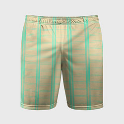 Мужские спортивные шорты Color beige cage blue stripes