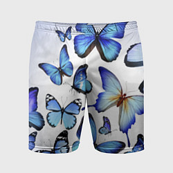 Мужские спортивные шорты Голубые бабочки