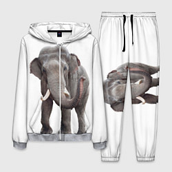 Костюм мужской Большой слон, цвет: 3D-меланж
