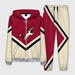 Костюм мужской NHL: Arizona Coyotes, цвет: 3D-меланж