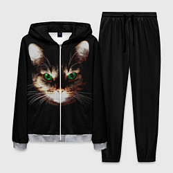 Костюм мужской Зеленоглазый кот, цвет: 3D-меланж