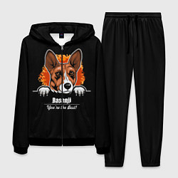 Мужской костюм Басенджи Basenji