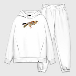 Мужской костюм оверсайз Сокол птица, цвет: белый