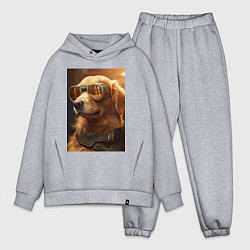 Мужской костюм оверсайз Золотистый ретривер в золотых очках, цвет: меланж