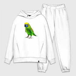 Мужской костюм оверсайз Зеленый попугай, цвет: белый