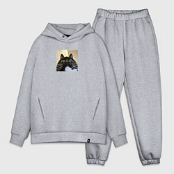 Мужской костюм оверсайз Видеозвонок с котом парный мем, цвет: меланж