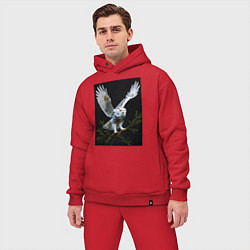 Мужской костюм оверсайз Белая сова на дереве, цвет: красный — фото 2